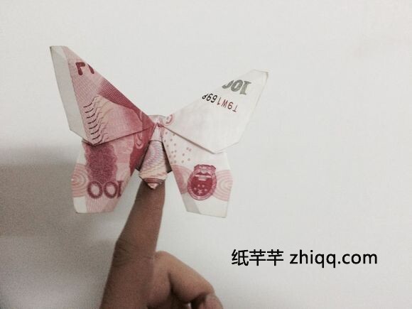 【纸币蝴蝶】折纸实拍图解教程