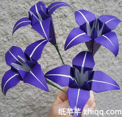百合花的折纸步骤/方法 11.
