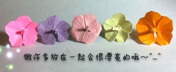 朱槿花折纸实拍图解教程