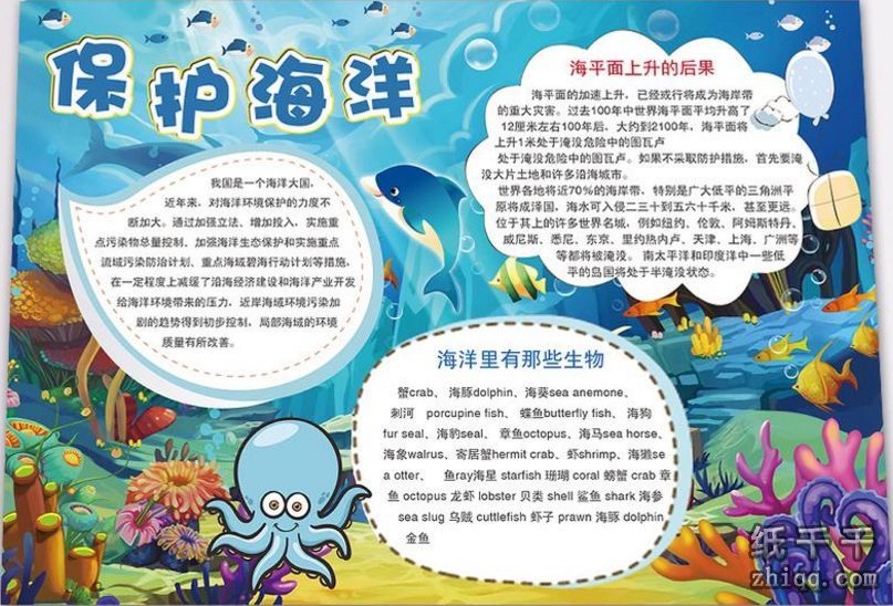保护海洋手抄报素材