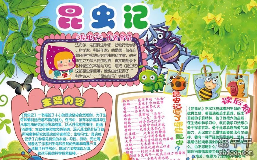有关昆虫记的手抄报-纸千千