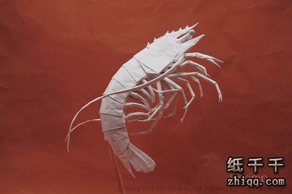 【皮皮虾】折纸作品展示
